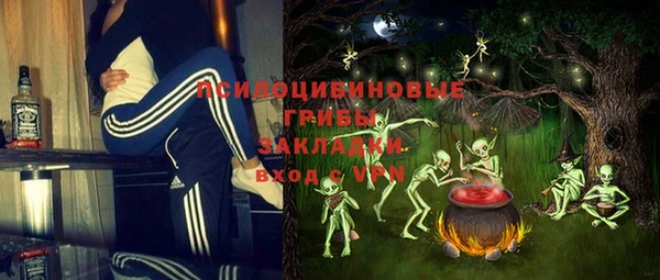 кокс Алексин