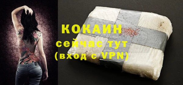 кокс Алексин